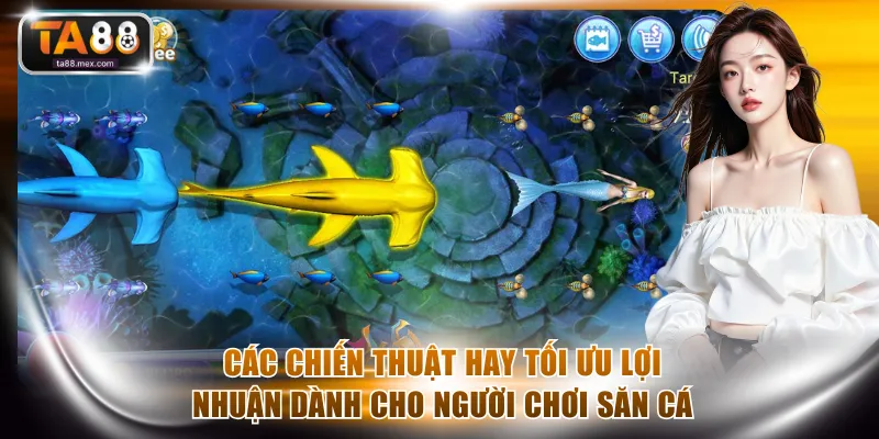 Các chiến thuật hay tối ưu lợi nhuận dành cho người chơi săn cá