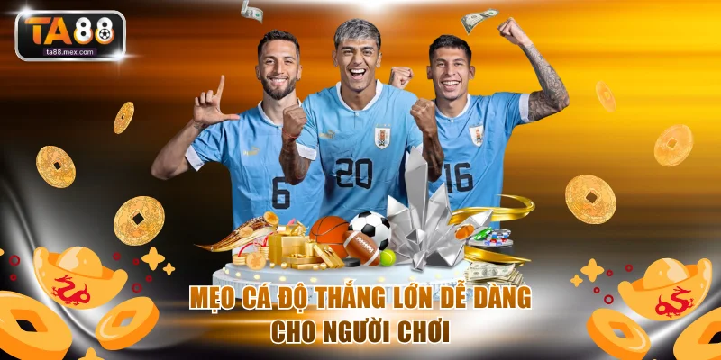 Mẹo cá độ thắng lớn dễ dàng cho người chơi